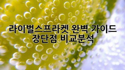 라이벌스프라켓 완벽 가이드: 장단점 비교분석