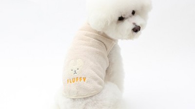 놓치면 후회! 이츠독패딩 득템 후기 & 꿀팁 대방출🐶